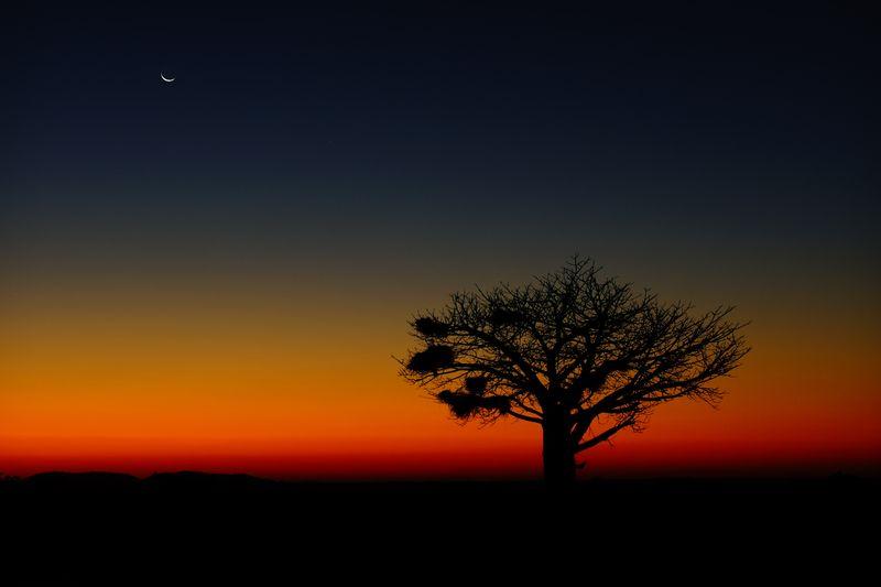 Botswana Sunset
